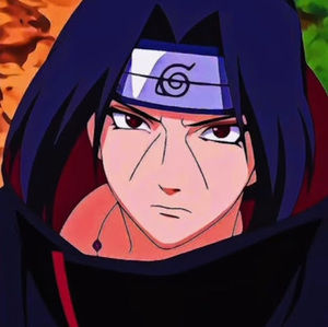 Meet your Posher, Noah